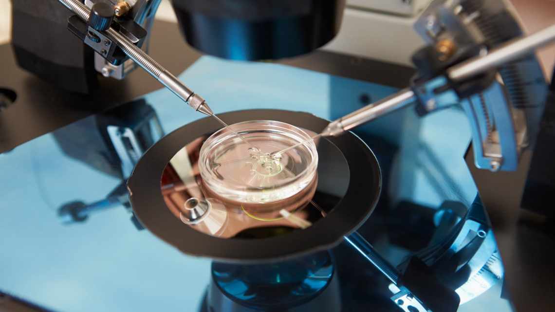 Длительное культивирование эмбрионов in vitro