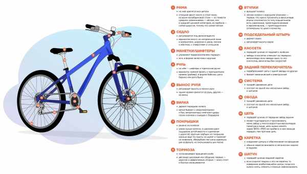 Чем горный велосипед отличается от городского и других видов?