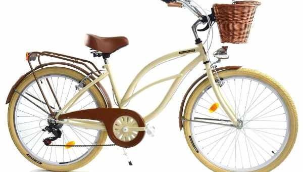 Женский велосипед с корзиной: особенности, обзор моделей и советы по выбору