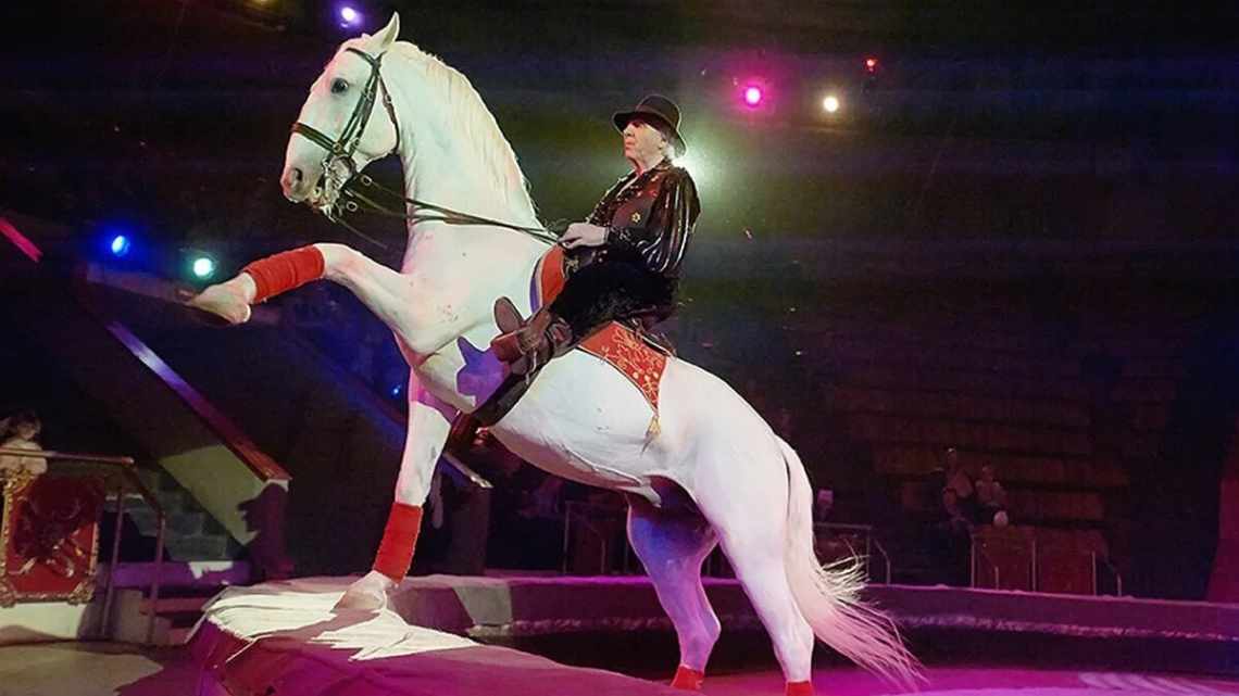 Призрак коня в ярославском цирке