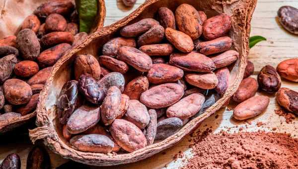 Какао бобы и их полезные компоненты