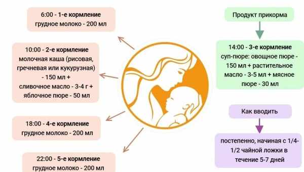 Кормление ребенка по месяцам