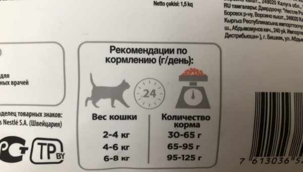 Сколько корма нужно кошке в день?