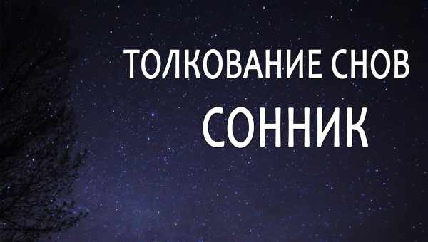 К чему снится скорпион: что говорят сонники Миллера, Нострадамуса, Фрейда и других. Толкование снов о скорпионе