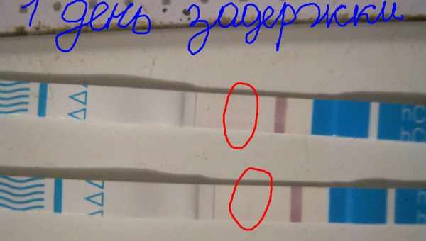 Задержка месячных тест отрицательный — о чем это говорит? Узнайте по каким причинам возникает задержка месячных на 5 10 или 15 дней если тест отрицательный и что делать.