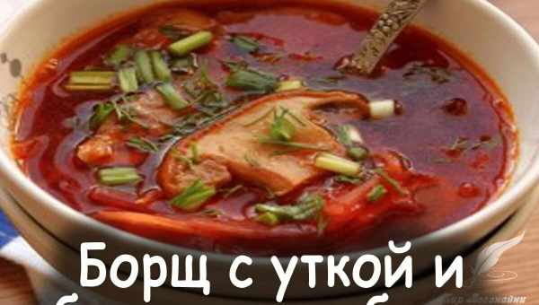 Борщ с уткой