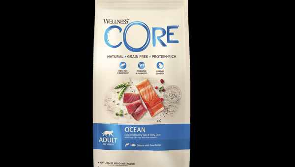 Особенности кормов Wellness CORE