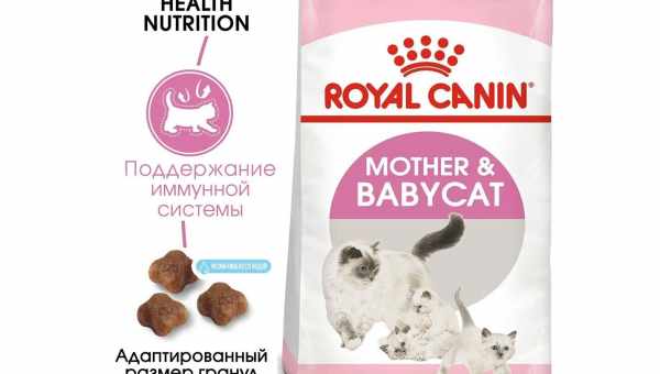 Разнообразие сухих кормов для котят ROYAL CANIN