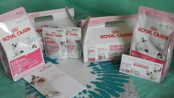 Все о молоке для котят ROYAL CANIN