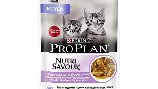 Описание влажных кормов Purina Pro Plan для котят