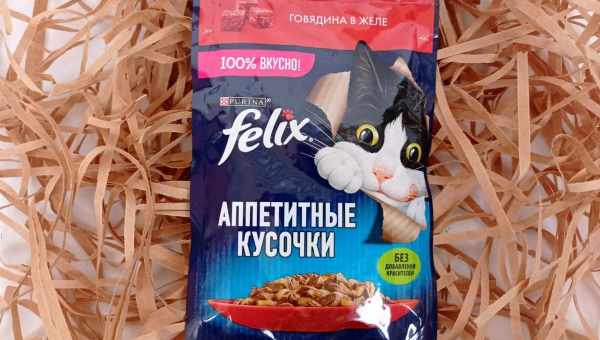 Все о корме Felix для котят