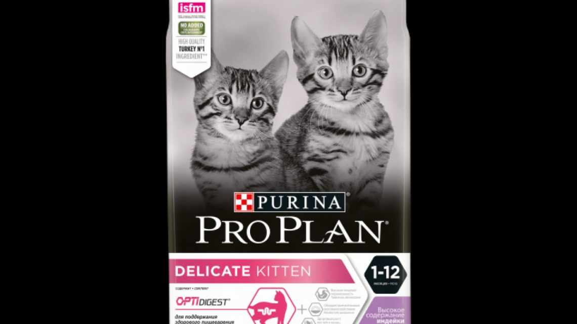 Все о кормах для котят Purina