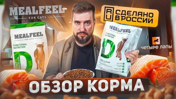 Обзор кормов для кошек и котов Mealfeel