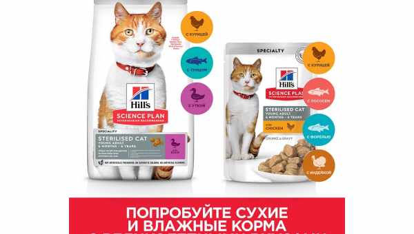 Разнообразие кормов для котят Hill's