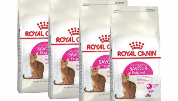 Корма ROYAL CANIN для привередливых кошек