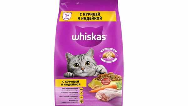 Особенности сухих кормов для кошек и котов Friskies