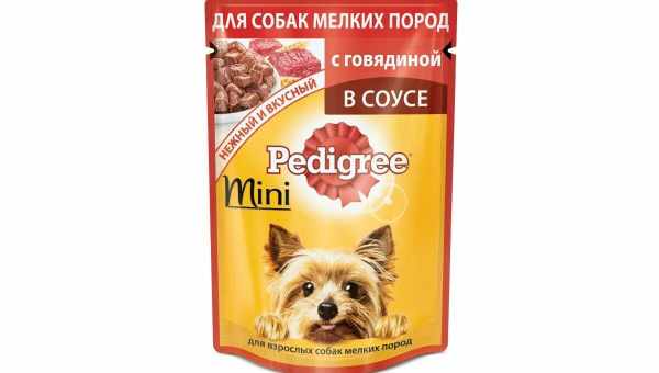 Все о кормах для собак мелких пород ROYAL CANIN