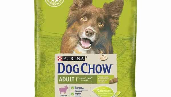 Особенности сухих кормов Purina Dog Chow