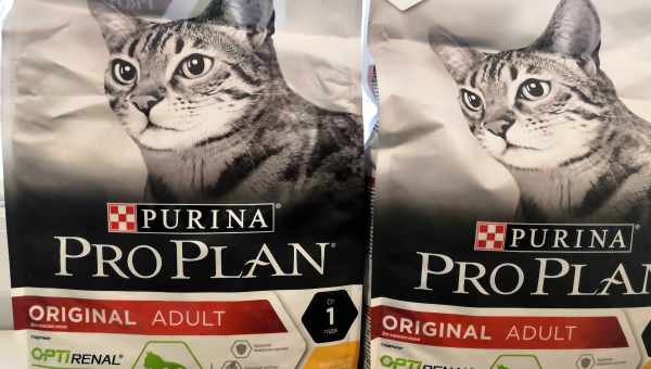 Сравнение кормов Purina Pro Plan и ROYAL CANIN