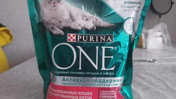 Все о кормах PURINA ONE