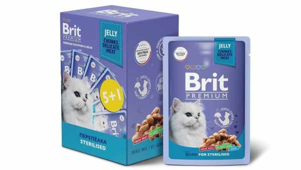 Разнообразие влажных кормов Brit