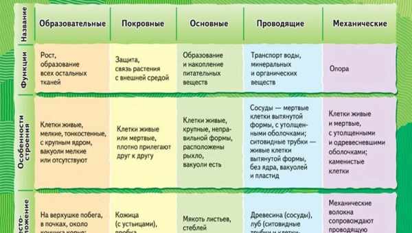 Виды и особенности размещения открытых полок на кухне